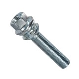 Prezoane jante sferice 10buc - TS7 Garage AutoRide