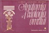AS - ANATOMIA SI FIZIOLOGIA OMULUI