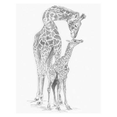 Crochiu incepatori-Girafa cu pui 22x29 cm foto