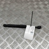 Amortizor capota st&acirc;nga față TESLA MODEL Y 2023 OEM: 1505547-00-A 23418775