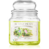 THD Vegetal Fiore E Muschio lum&acirc;nare parfumată 400 g