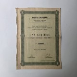 Actiune cu valoare nominala de 500 de lei Banca Timisoarei si Societate Comerciala pe Actiuni, Dividende atasate, Timisoara 1837