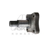 ASAM 30319 Butuc roata