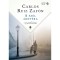 A sz&eacute;l &aacute;rny&eacute;ka - Carlos Ruiz Zaf&oacute;n
