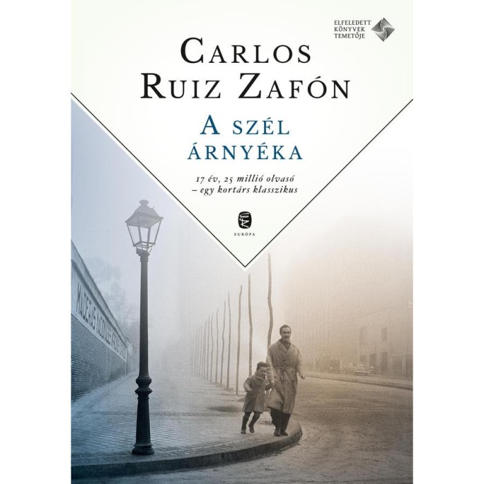 A sz&eacute;l &aacute;rny&eacute;ka - Carlos Ruiz Zaf&oacute;n