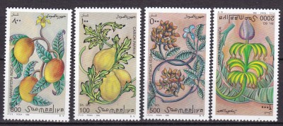 Somalia 1996 fructe MI 607-610 MNH foto