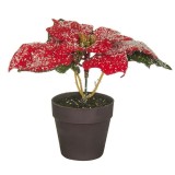 Ghiveci decorativ artificial cu Craciunita,plastic,14 cm