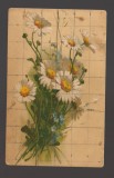 CPIB 20816 FELICITARE - BUCHET DE FLORI, G.O.M., NECIRCULATA