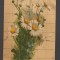 CPIB 20816 FELICITARE - BUCHET DE FLORI, G.O.M., NECIRCULATA