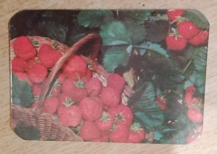 M3 C31 17 - 1981 - Calendar de buzunar - reclama horticultura