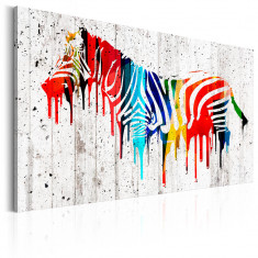 Tablou canvas - Zebra colorata - 120 x 80 cm foto