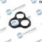Garnitura, Distributie 307908 DRM0526