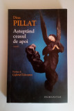 Dinu PILLAT - Aștept&acirc;nd ceasul de apoi