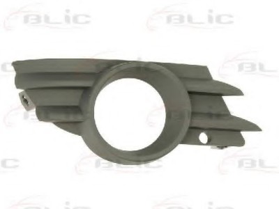 Grila ventilatie, bara protectie OPEL MERIVA (2003 - 2010) BLIC 6502-07-5026918P foto