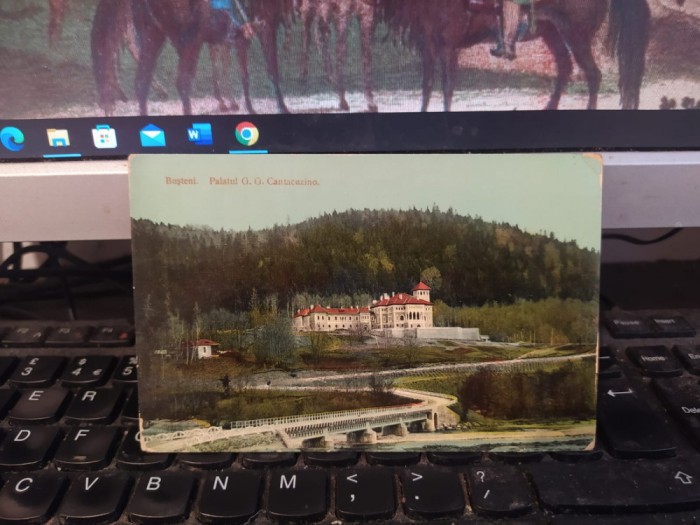 Bușteni, Palatul G.G. Cantacuzino, circa 1910, 205