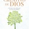 El Poder Creativo de Dios: Descubra El Incre