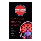 How Your Brain Works