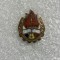 Insigna pionieri mică 1.9 mm