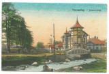 5271 - PETROSANI, Hunedoara, Romania - old postcard - unused - 1925, Necirculata, Printata