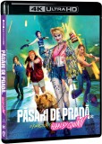 Pasari de Prada si Fantastica Harley Quinn (4K Ultra HD) / Birds of Prey: And the Fantabulous Emancipation of One Harley Quinn | Cathy Yan