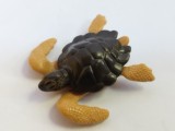 bnk jc Kinder 2022 - Natoons - Beloved Animals - Sea turtle - VD294