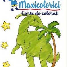 Maxicolorici. Carte de colorat 5-6 ani - Laurentia Culea