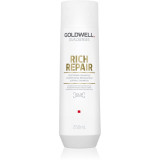 Goldwell Dualsenses Rich Repair șampon regenerator pentru păr uscat și deteriorat 250 ml