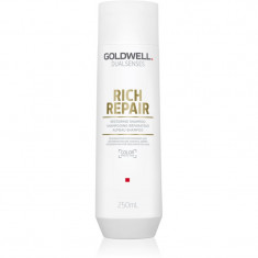 Goldwell Dualsenses Rich Repair șampon regenerator pentru păr uscat și deteriorat 250 ml