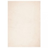 Cumpara ieftin Covor HUARTE, fir scurt, moale si lavabil, bej, 160x230 cm