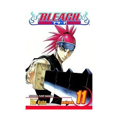 Bleach, Volume 11