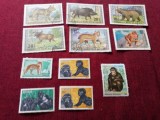 LOT TIMBRE STAMPILATE MONGOLIA VIETNAM ETC FAUNA