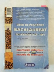 Ghid de pregatire pentru Bacalaureat 2008 - Matematica M1 - editura Sigma foto