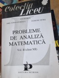 Probleme de analiza matematica Vol.II clasa XII - Ion Petrica