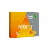 Potent 9 10 capsule Adams Vision