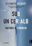 Sub un cer alb. Natura viitorului, Litera