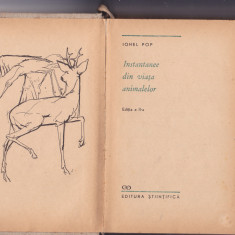 Ionel Pop - Instantanee din viata animalelor (1968, editie cartonata)