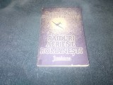 CONSTANTIN UCRAIN - RAIDURI AERIENE ROMANESTI
