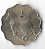 Moneda 1 pula 1976 - Botswana, tiraj 171000