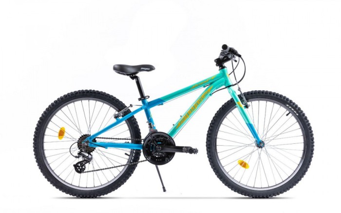 Pegas drumet 24&#039;&#039; turcoaz bleu