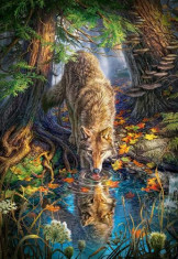 Puzzle Castorland - Wolf In The Wild 1500 piese (151707) foto