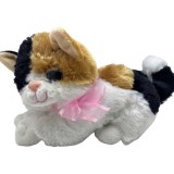 Pisica din plus alb portocaliu cu ochi mari