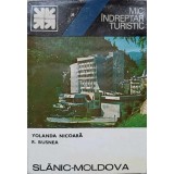 SLANIC MOLDOVA. MIC INDREPTAR TURISTIC-YOLANDA NICOARA, R. BUSNEA-226533