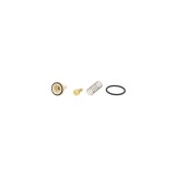 Termostat lichid racire VW GOLF PLUS 5M1 521 BEHR TX182105D, Volkswagen