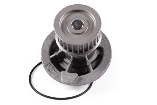 HEPU P316 Pompă de apă, răcire motor