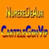 Numere Vip NumereDeAur--07XY.777.100--