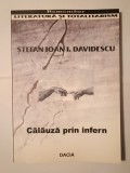 Ștefan Ioan I. Davidescu - Călăuză prin infern