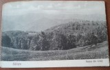 Carte postala, Saliste, vedere din Crinti, perioada interbelica