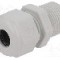 Presetupa poliamida, PG11, IP68, HSK-K, HUMMEL - 1.209.1100.60