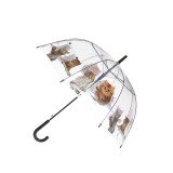 Umbrela transparenta cu pisici