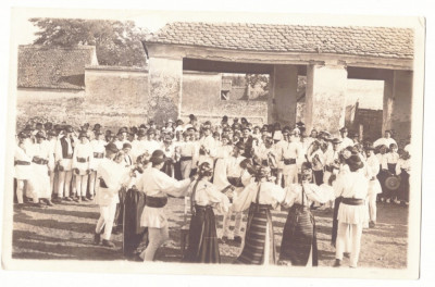 4477 - ETHNIC, HORA dance, Romania - old postcard, real PHOTO - unused foto